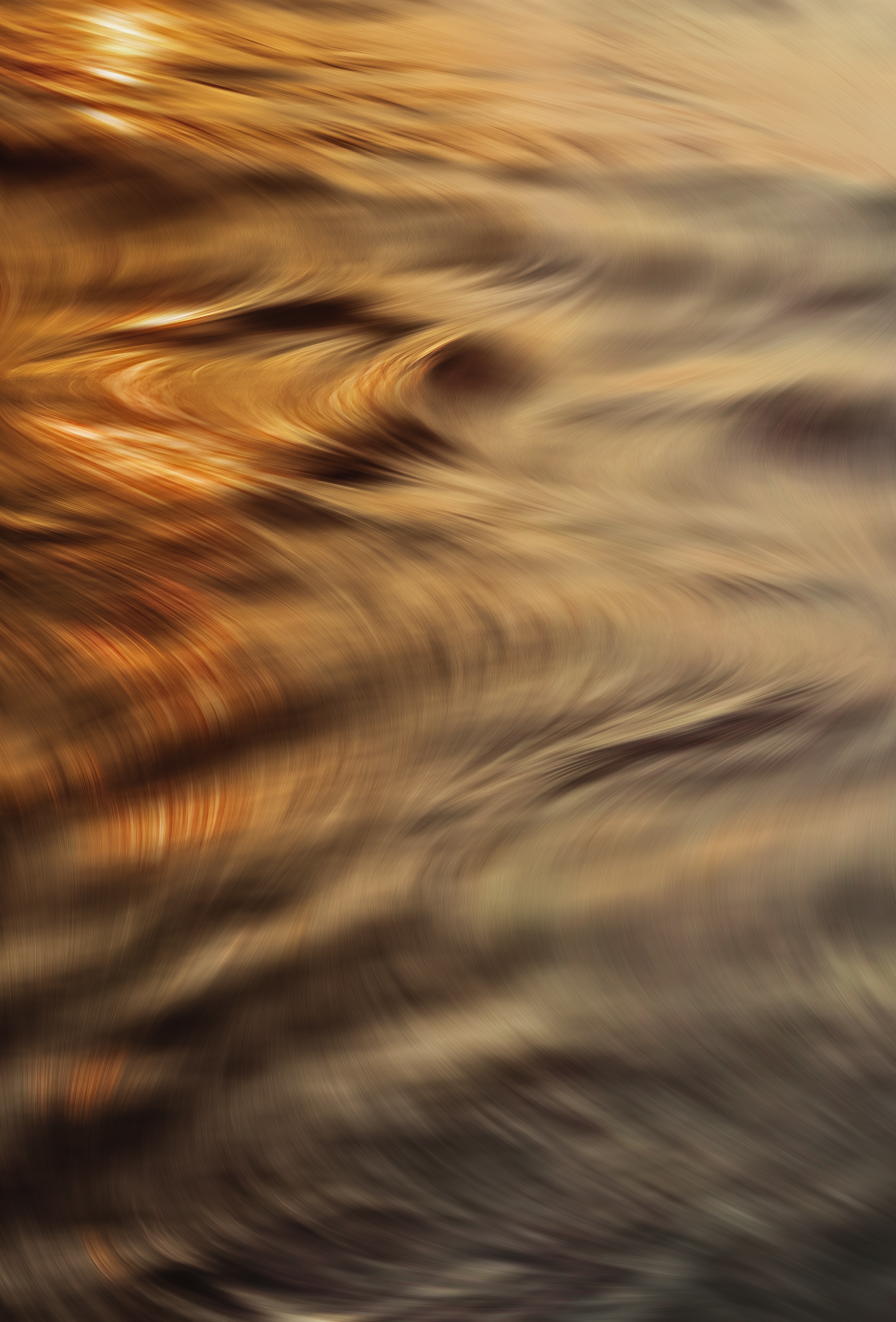 Sexual assaults and abuse of children and young people