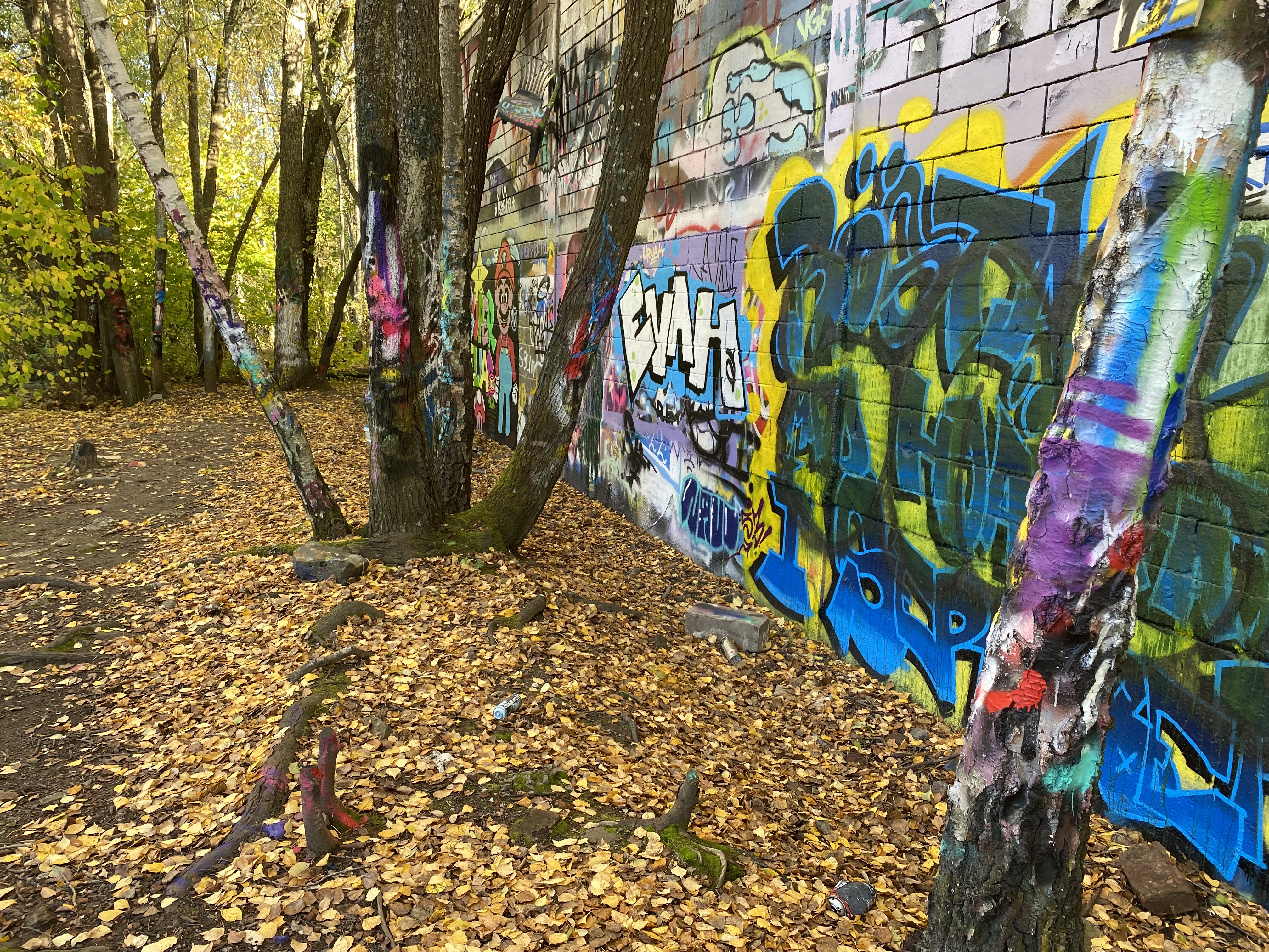 New Blogpost: The Ambiguity of Disorder